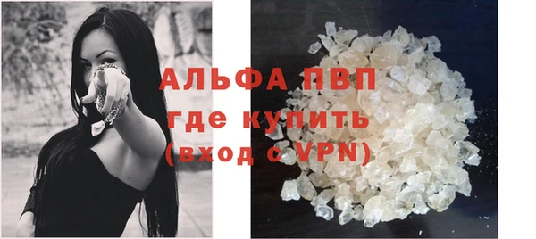 стаф Осташков