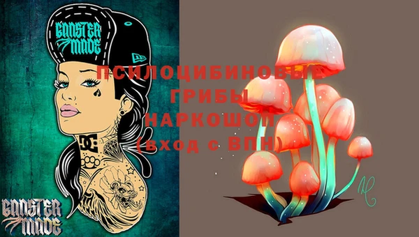 твердый Няндома