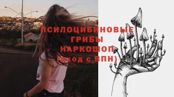 тгк Осинники